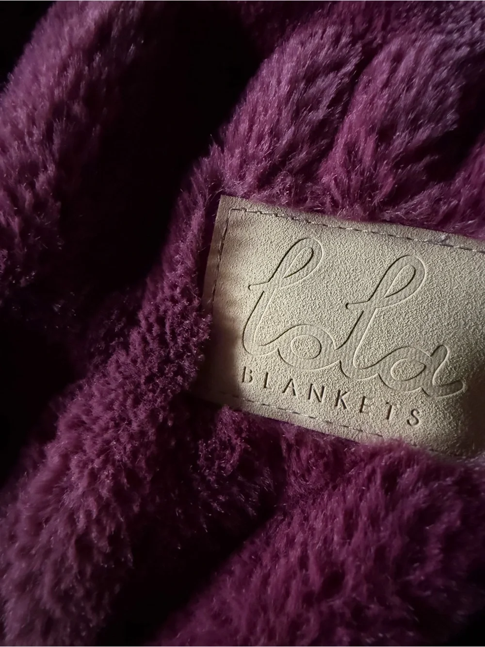 Lola Blankets Medium Burgundy Plush Throw Blanket